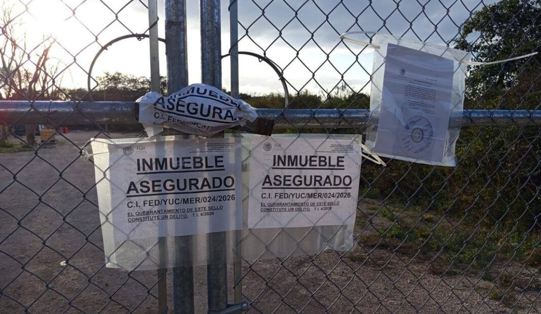 Aseguran más de 338 mil litros de huachicol en Yucatán; operativo en Seyé. Foto: Especial