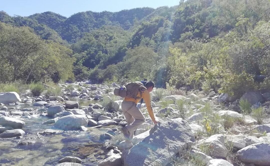 Con brigadas, perros y voluntarios, buscan a turista extraviado. Foto: Cuerpo de Bomberos de Cabo San Lucas