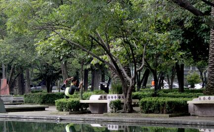 Roban Rolex a hombre en el parque Lincoln