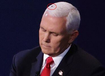 ¿Quién ganó el debate entre Kamala y Pence? Al parecer, ganó... una mosca
