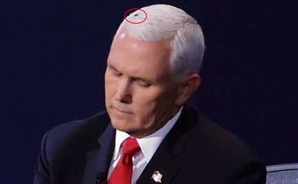 ¿Quién ganó el debate entre Kamala y Pence? Al parecer, ganó... una mosca