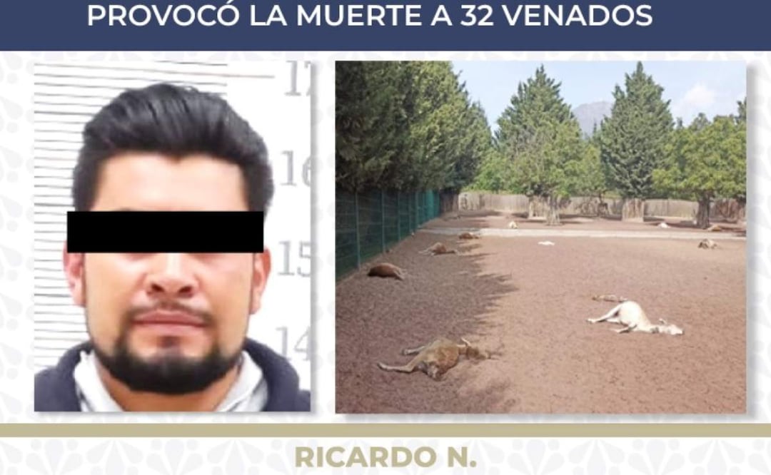 Sentencian a 6 años de prisión a sujeto que en 2022 provocó la muerte de 32 venados en parque de Puebla (28/01/2025). Foto: X (@FiscaliaPuebla)