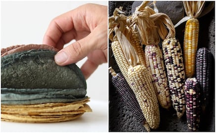 3 tortillerías que utilizan maíz nativo en sus tortillas