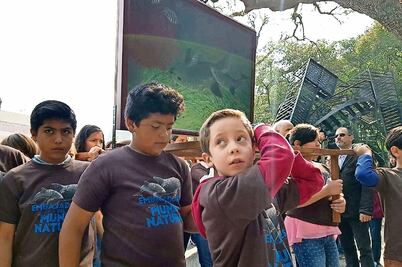 Exigen salvar a la vaquita marina