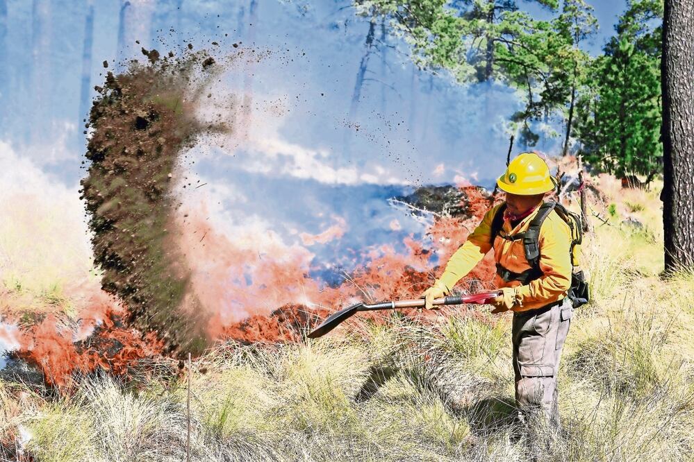 Foto: Archivo / El Universal