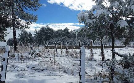 Prevén aguanieve o nevadas en Sonora por frente frío 13 