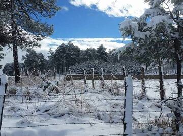 Prevén aguanieve o nevadas en Sonora por frente frío 13
