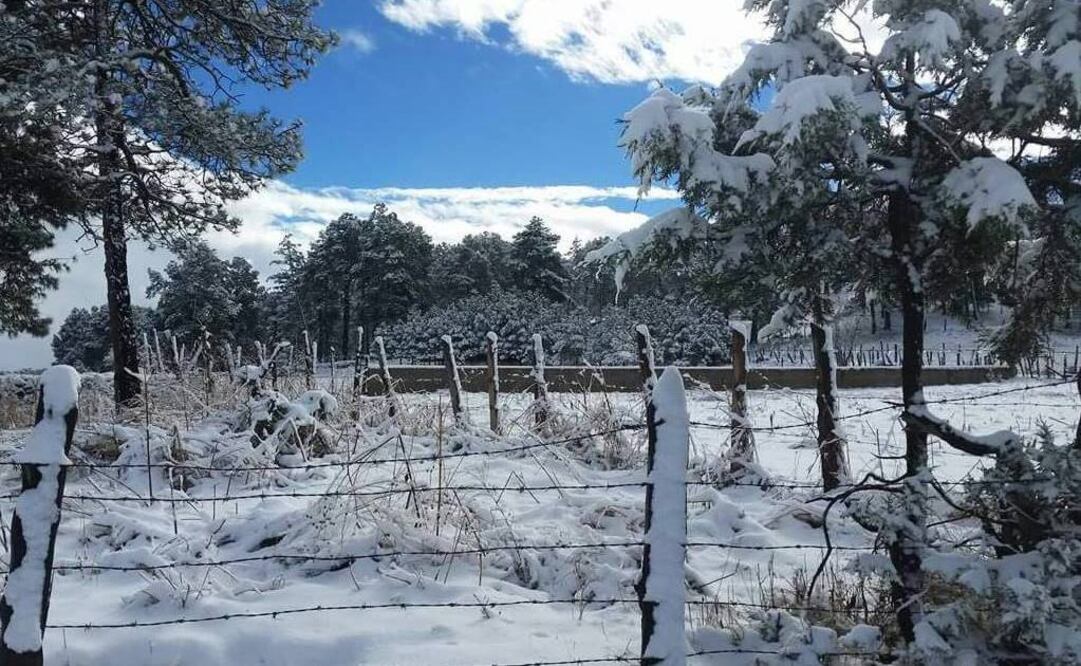 Foto: Archivo EL UNIVERSAL