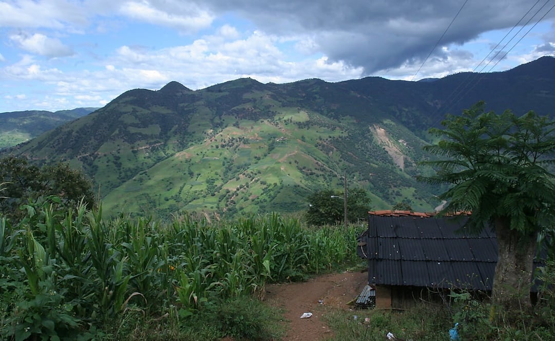 Foto: Archivo / EL UNIVERSAL