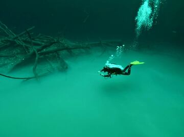 Cenote Angelita: el misterioso río subterráneo de Tulum