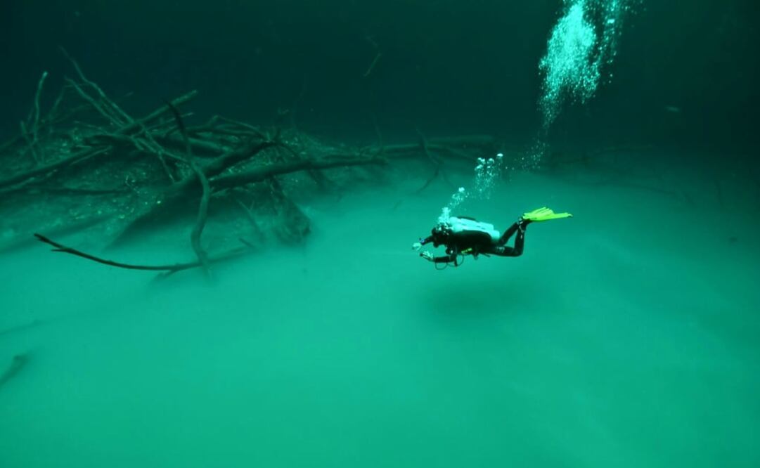 (Foto: Agua Clara Diving Tulum)