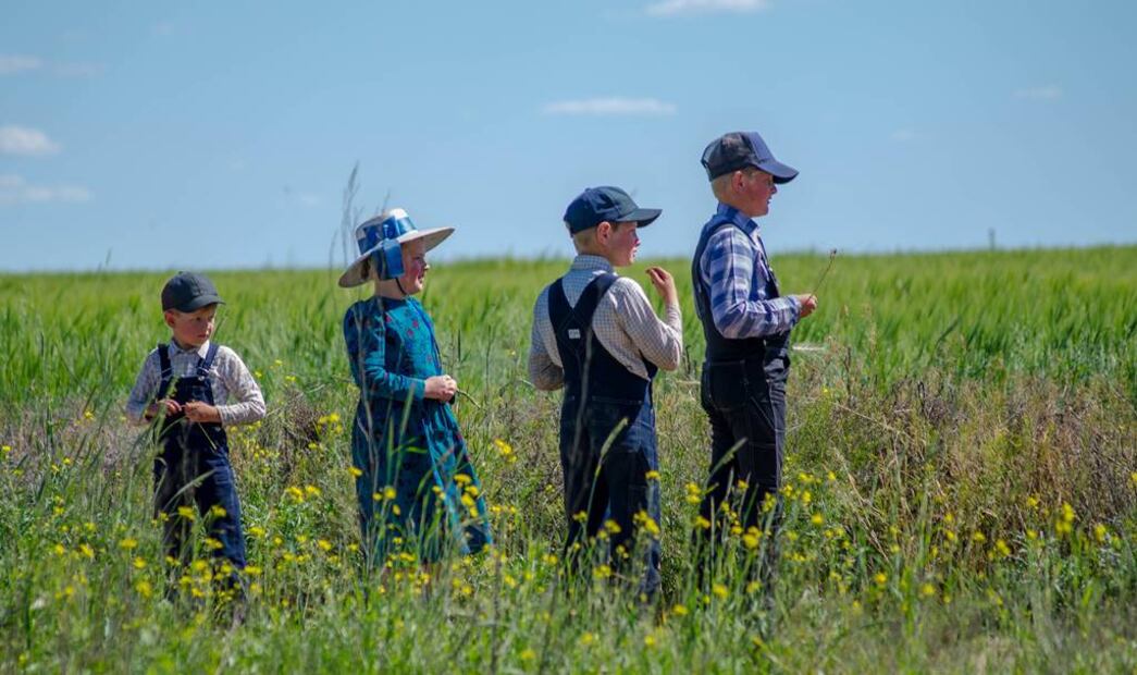 Foto: Cortesía Fidetur ¡Ah Chihuahua!