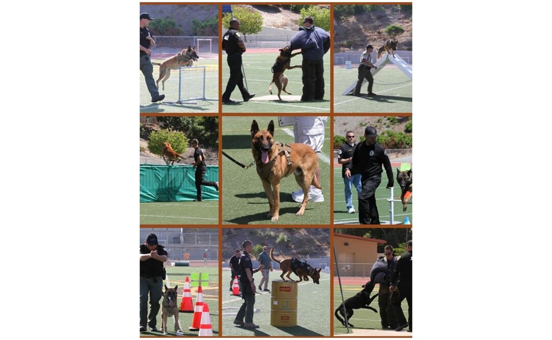 Foto: Oceanside Police Department