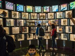 Pabellón Nacional de la Biodiversidad: Todo lo que debes saber sobre el nuevo museo de la UNAM