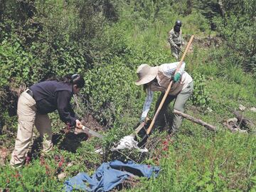 “Es como buscar una aguja en el Ajusco”; acompañan 200 personas a madre de Ana Amelí en Pico del Águila