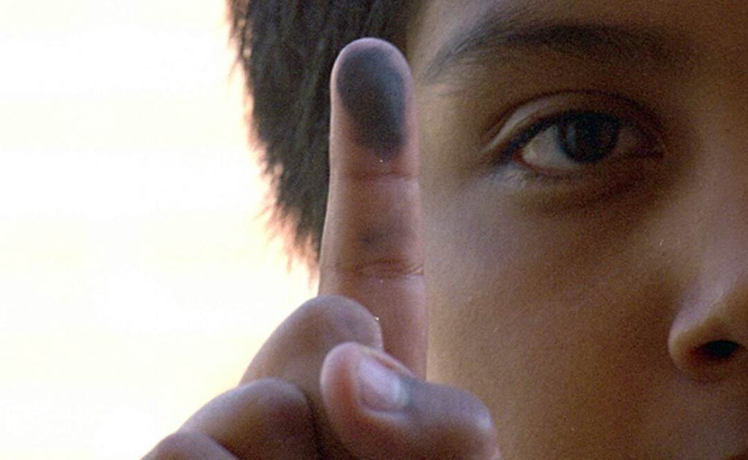 Polvo guarda hasta 9 mil especies de microbios