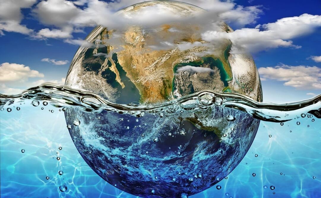 De nosotros depende el futuro de estos vitales ecosistemas./ Foto: Istockphoto.