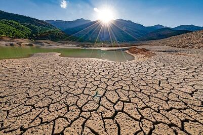 Nuevas tecnologías agrícolas enfrentan el cambio climático