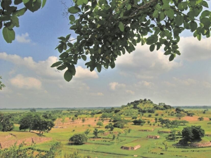 Citibanamex, fundamental para el rescate de patrimonio cultural en los últimos 20 años