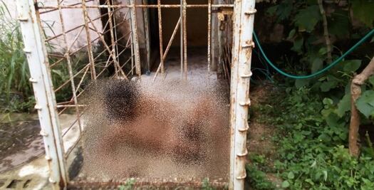 Encuentran a mujer encerrada en una jaula en Veracruz