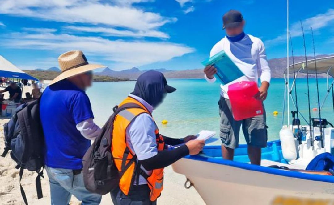 Profepa y Conanp realizan 17 clausuras tras operativo conjunto en 41 áreas naturales protegidas. Foto: Especial