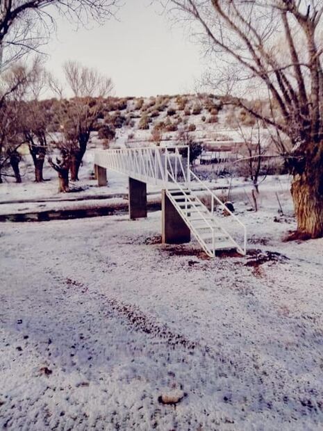 Cae nieve en 14 municipios de Chihuahua; suspenden corridas de camiones