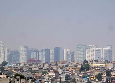 Revisa Profepa 88 empresas por contingencia ambiental