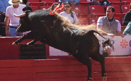Cada corrida en Plaza de Toros México genera cerca de 29 millones de pesos: Sedeco CDMX