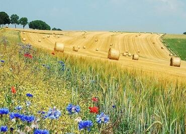 ¿Cuándo empieza el verano de 2017?