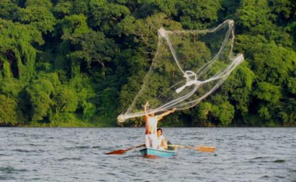 Cultivar hongos y nadar desnudo en cascadas: 3 viajes al México profundo