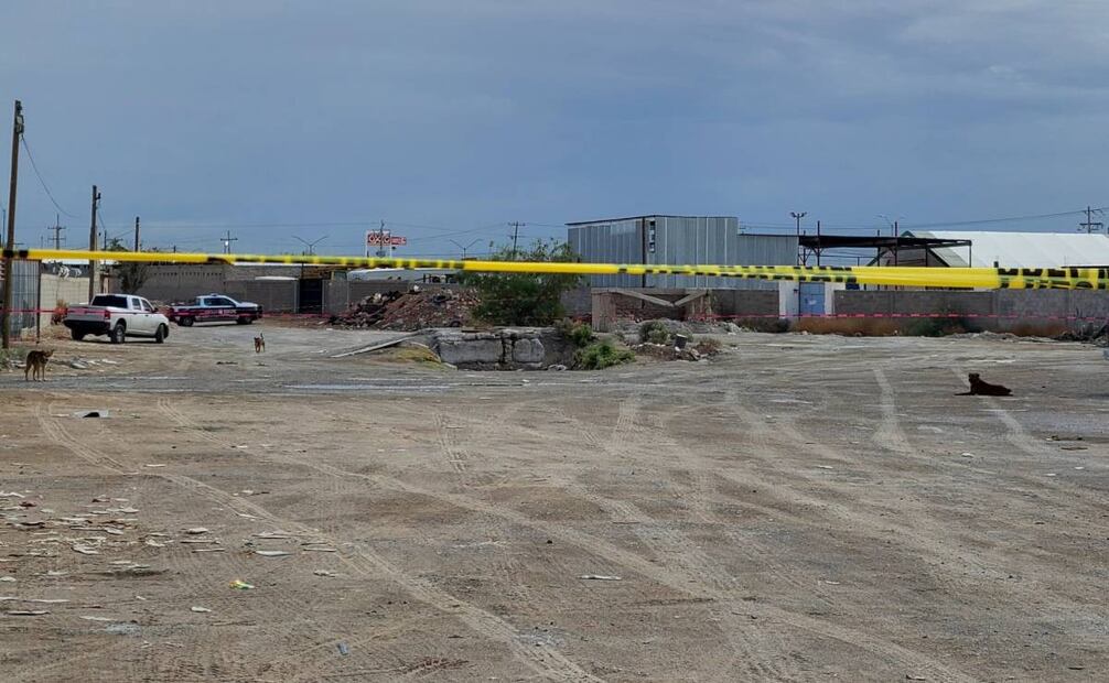 Hasta el momento se notificó a 116 familias de estas identificaciones.
Foto: Especial.