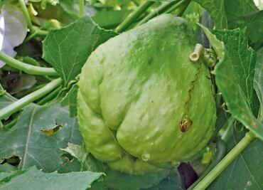 Inflación pega más en 29 ciudades