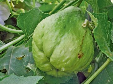 Inflación pega más en 29 ciudades