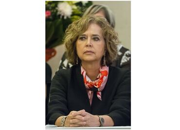 Perfil. Rosaura Ruiz Gutiérrez, próxima titular de Secretaría de Ciencia, Tecnología e Innovación