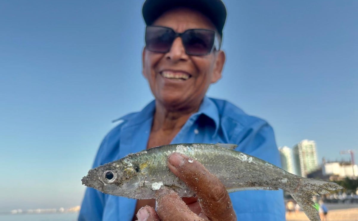 Pescadores retoman labores en Puerto Vallarta, Jalisco, tras una semana de violencia por el abatimiento de "El Mencho" (01/03/26). Foto: Juan Carlos Williams/ EL UNIVERSAL