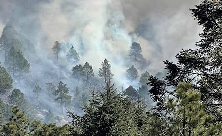 ¿Dónde hay incendios activos en el Edomex? 