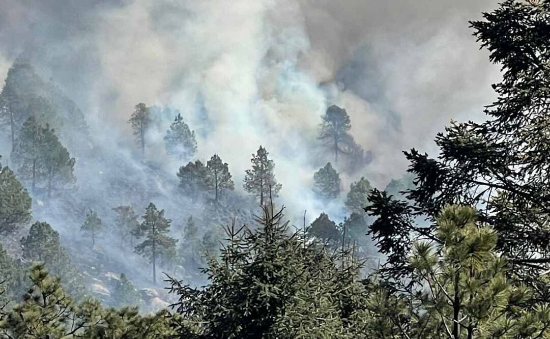 Incendio forestal. Foto: Especial