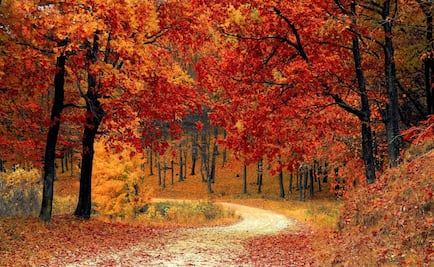 ¿Cuándo empieza el otoño de 2017?