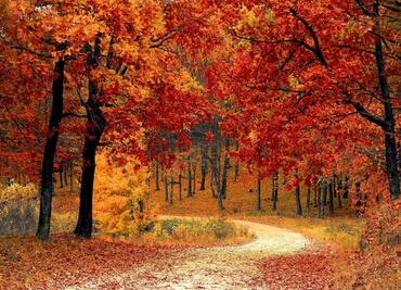 ¿Cuándo empieza el otoño de 2017?