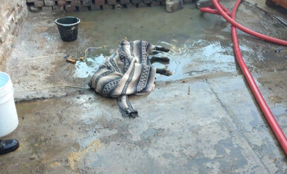 Fotografía: Especial