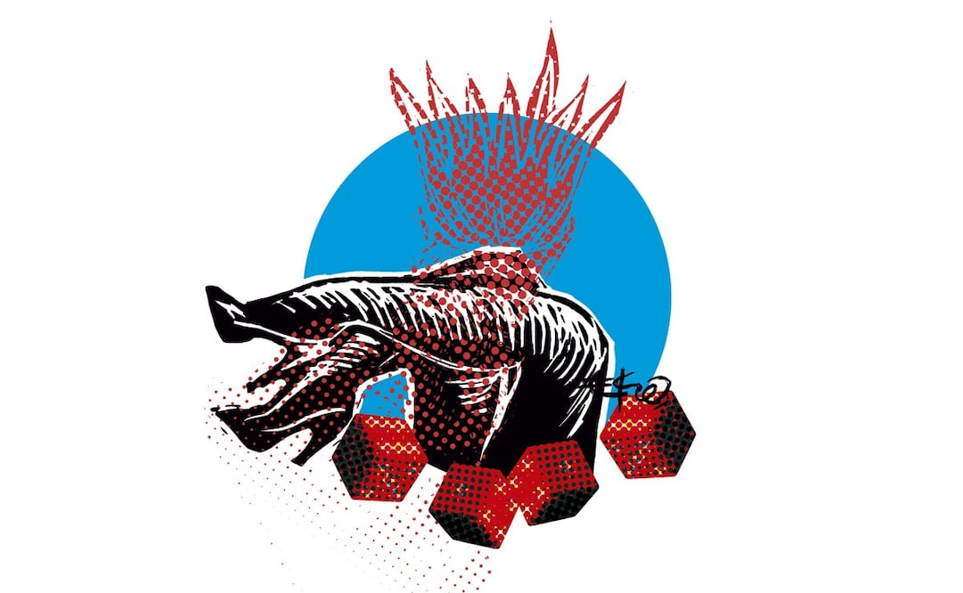 Salvador García Soto