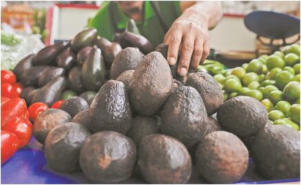 ¡No dan tregua! Precios de aguacate y limón hasta en 100 pesos por kilo: Profeco