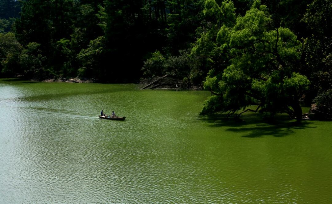 Da un paseo en lancha por la presa la Soledad. (Foto: CORTESÍA TURISMO DE PUEBLA)