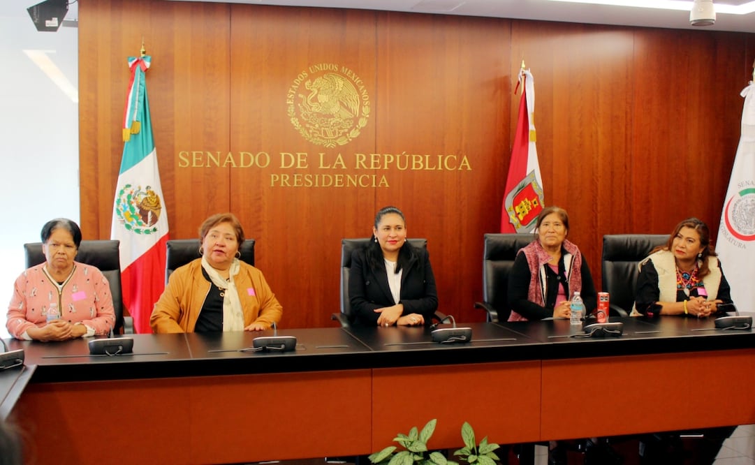 Foto: Tomada de X Senadora Ana Lilia Rivera (@Ana_LiliaRivera)