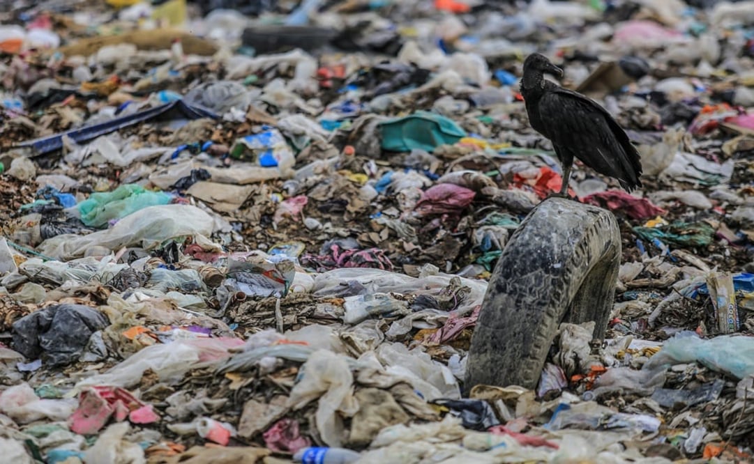 Foto: archivo/EL UNIVERSAL