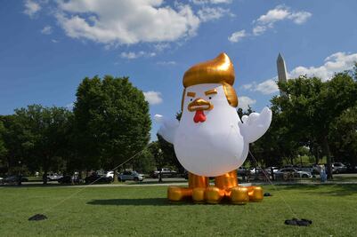 Pollo gigante con el rostro de Trump aparece frente a la Casa Blanca