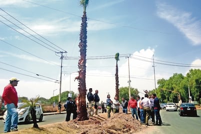 Tultepec pelea territorio a cuatro municipios