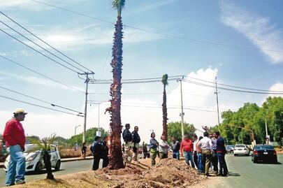 Tultepec pelea territorio a cuatro municipios