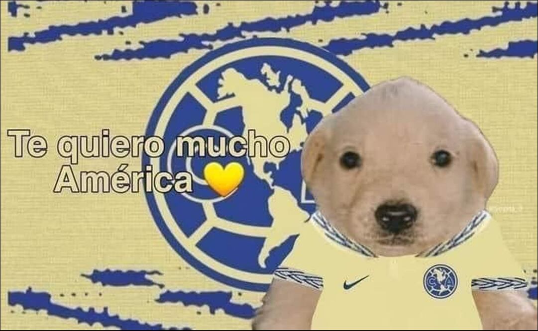 Los MEJORES MEMES del triunfo americanista