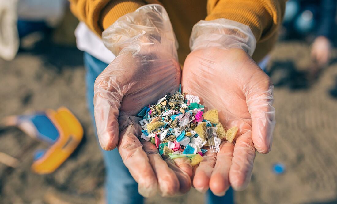 El cangrejo robot y otras tecnologías ecológicas